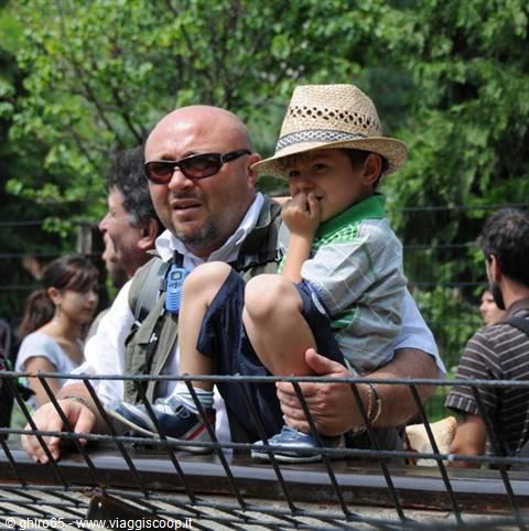 Father carrying boy in straw hat on shoulders behind green metal fence