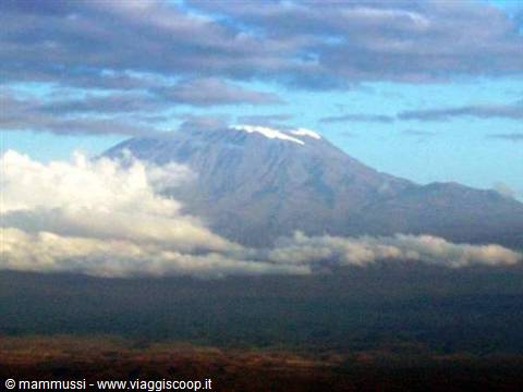 Snow-capped Kilimanjaro emerging from clouds above the savanna