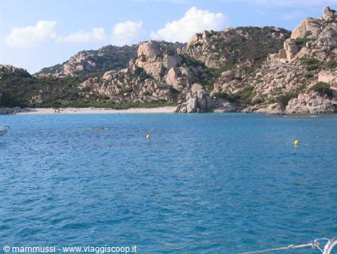 Spargi