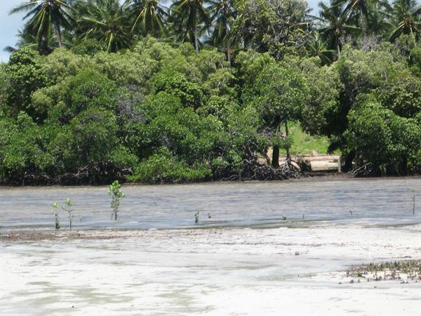 Mida Creek