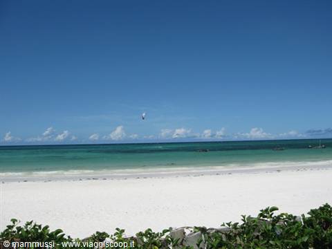 Zanzibar - The beach of Dongwe Village
