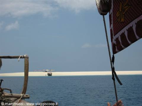 Zanzibar - Sandbank