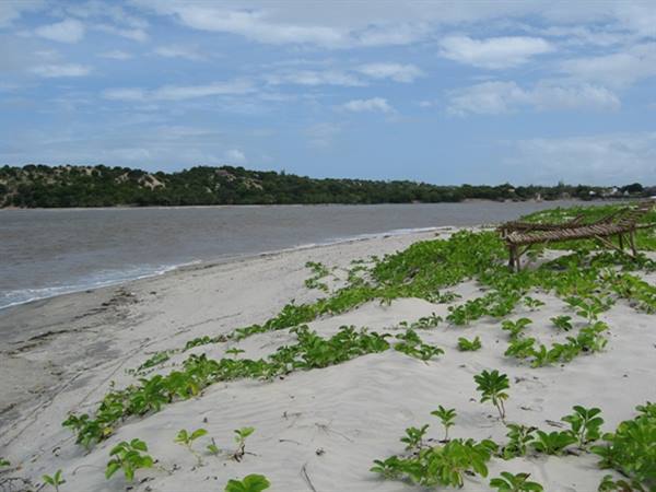 Shell islands