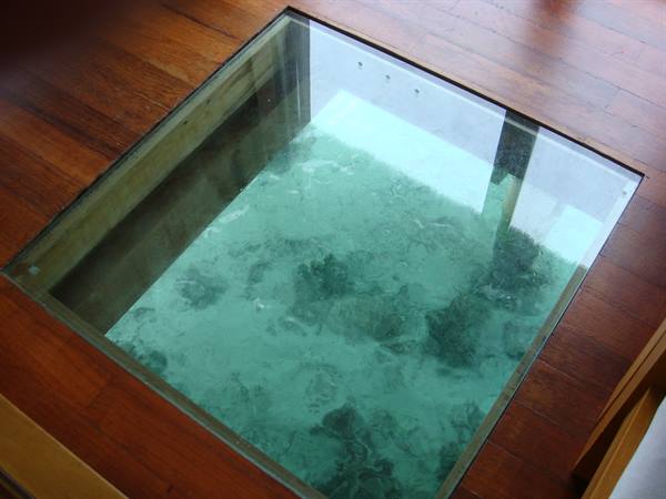 Wooden floor with glass panel revealing turquoise water and corals below