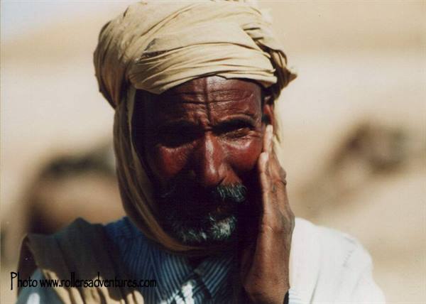 Berber shepherd