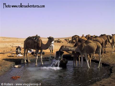 Spring of Bir Awine