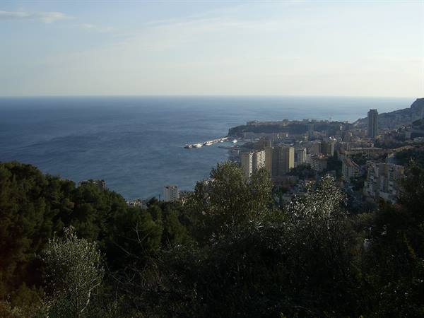 Monaco: high-rise buildings by the blue sea, green hills in front