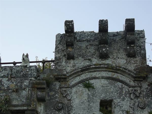 an exceptional guardian...