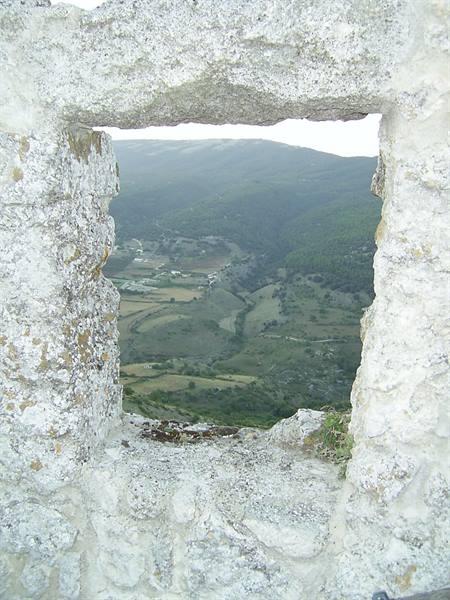 a window onto the Umbrian forest