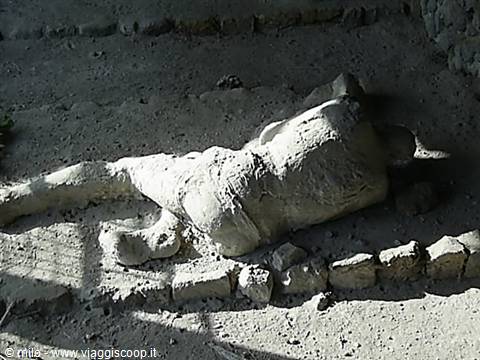 pompeii, cast