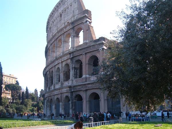 Tourists visit the Colosseum in Rome, ancient masonry and pines in sunshine