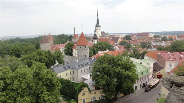 Medieval towers and red rooftops among the trees, Tallinn