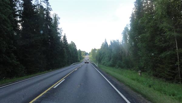 Car driving on paved road through coniferous forest under clear sky