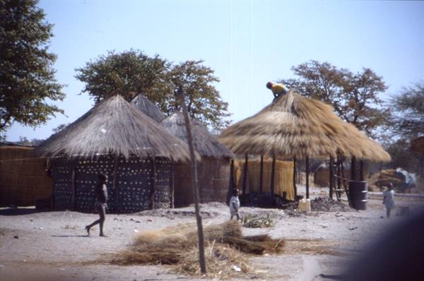 CHOBE PARK