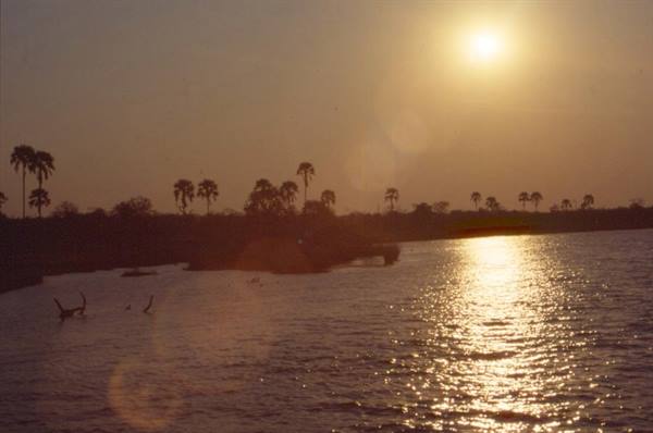 Low sun reflecting on the river, palm trees silhouetted on the sandy shore