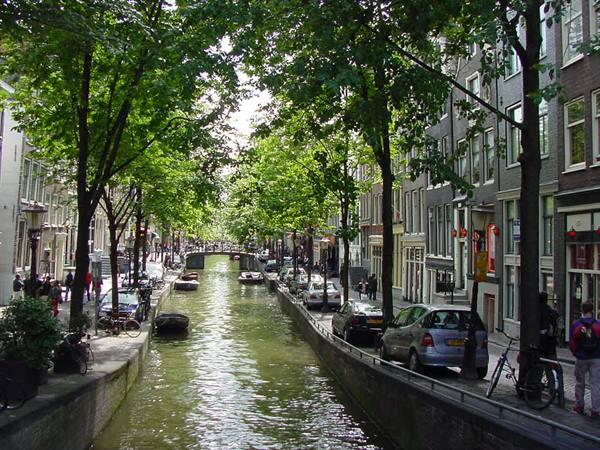 Amsterdam canal lined with brick houses, parked cars, bicycles and leafy trees
