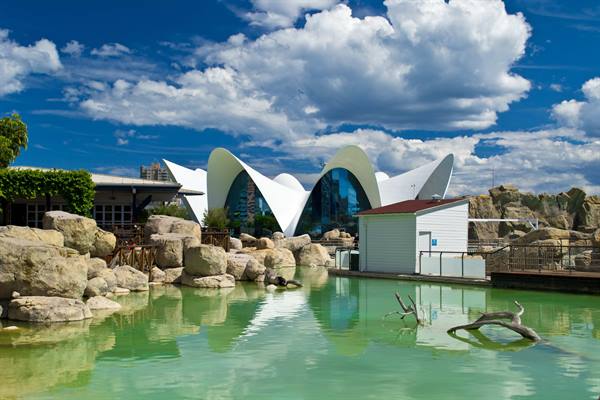White sail-shaped roofs of Valencia's Oceanogràfic reflected in the green lagoon