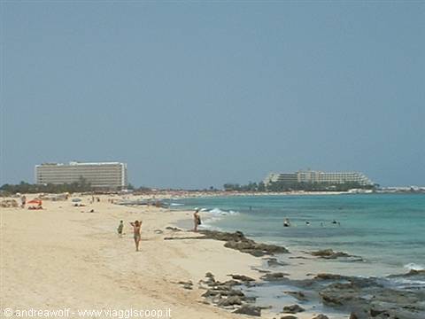 Beach of Corralejo