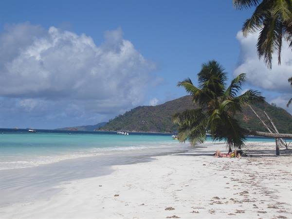 White sand beach with palm trees, boats offshore, tourists resting in the shade