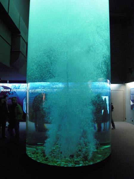 Inside the aquarium