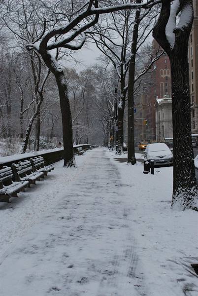 Central Park under the snow