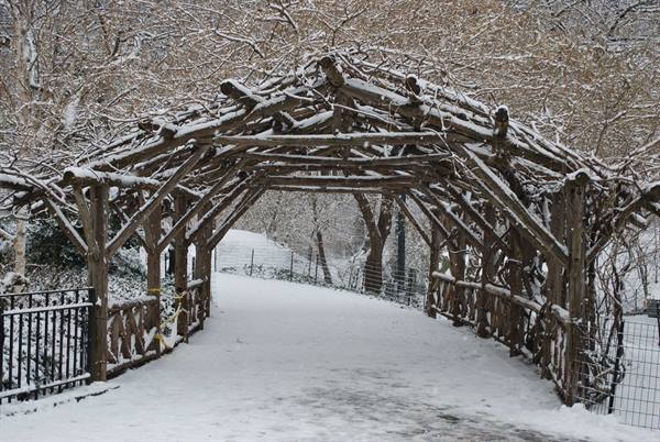 Central Park under the snow