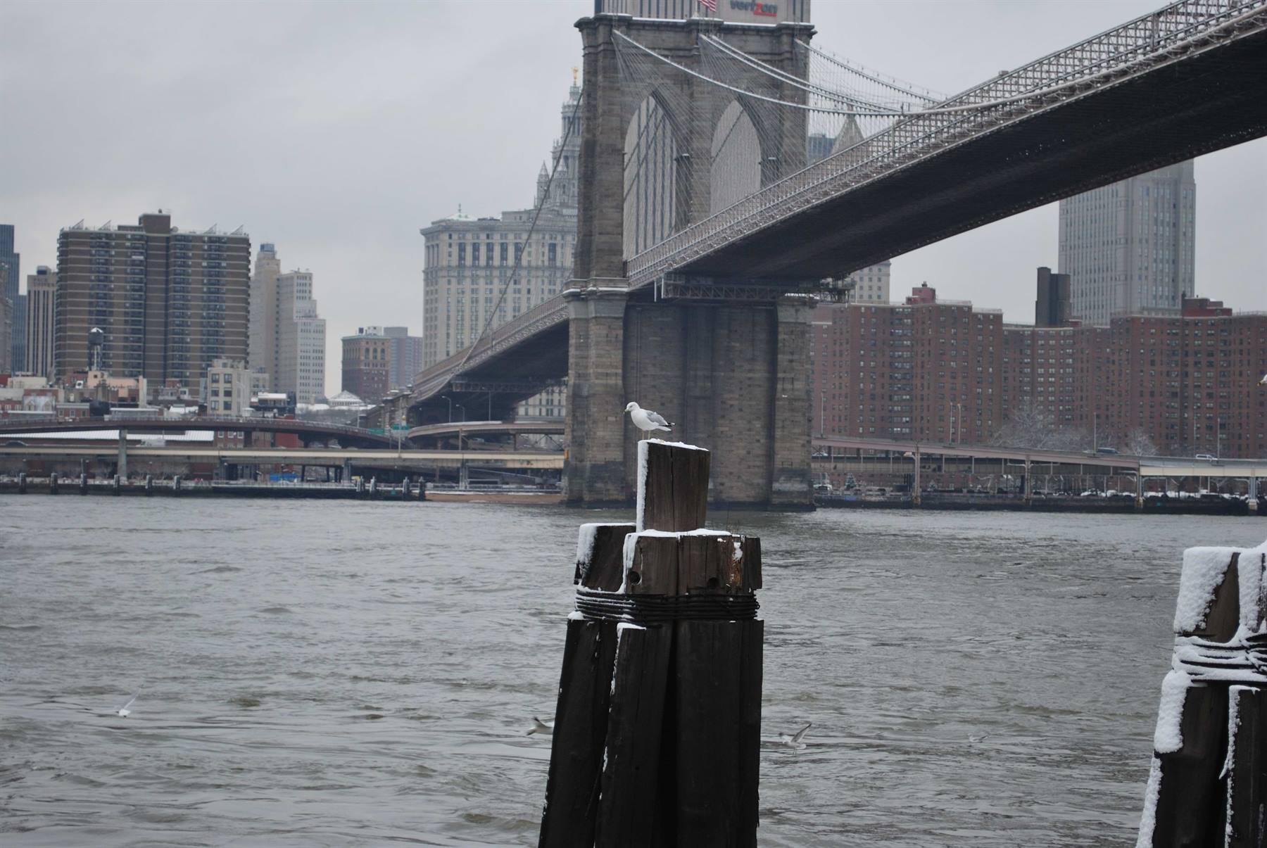 View of NYC under the snow