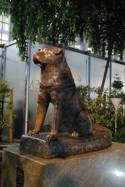 Hachiko!