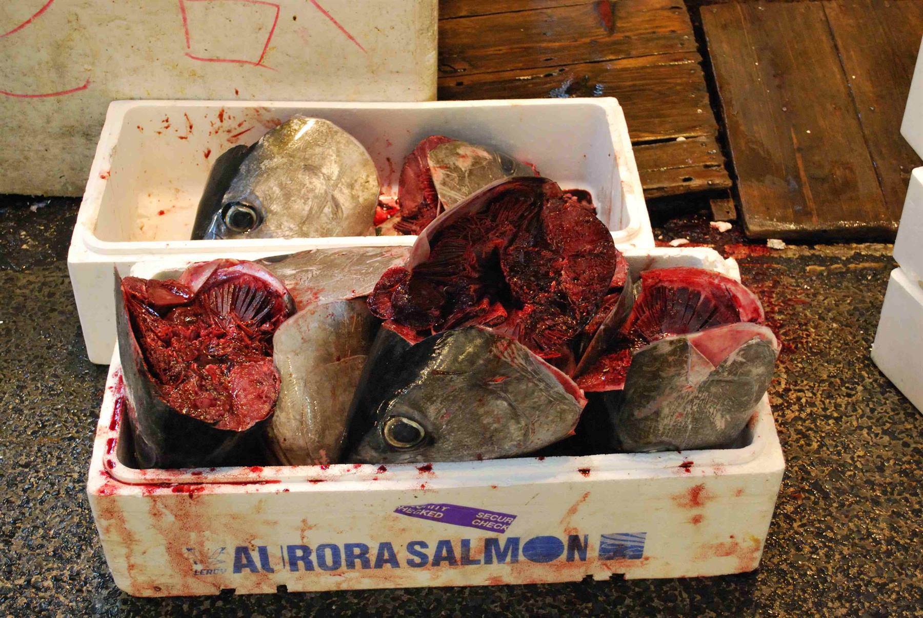 Tokyo fish market