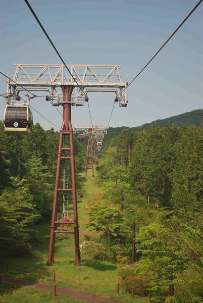 Cable car cabin over red steel pylons in Hakone green forest