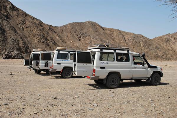 The jeeps used for the desert excursion