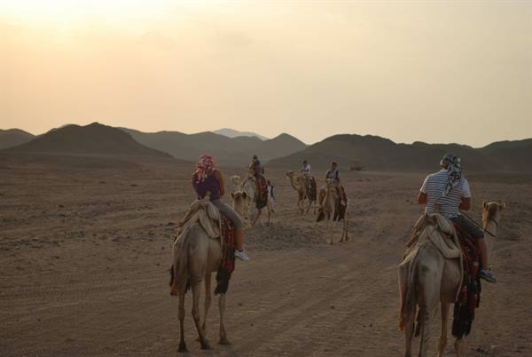 Unmissable dromedary ride