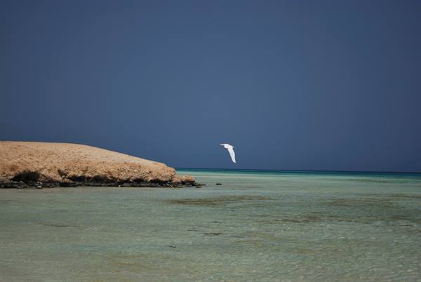 The beach of Sharm El Luli