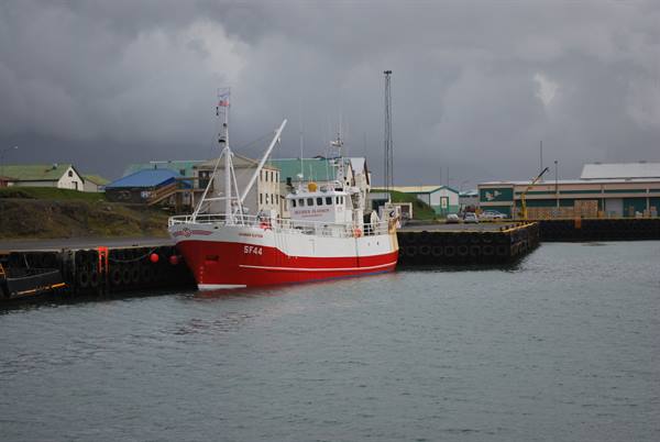 Little harbour of Höfn 