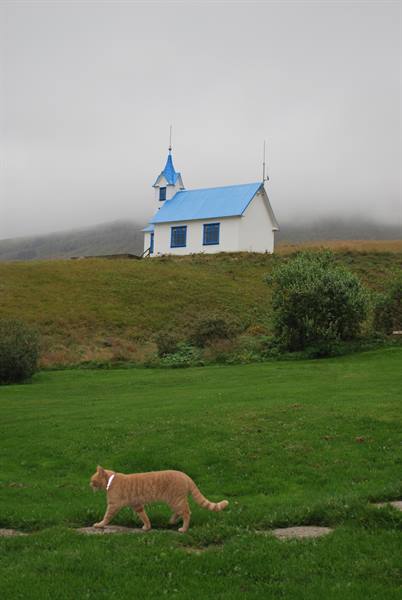 Along the eastern fjords