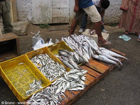 Rabat - Fish market