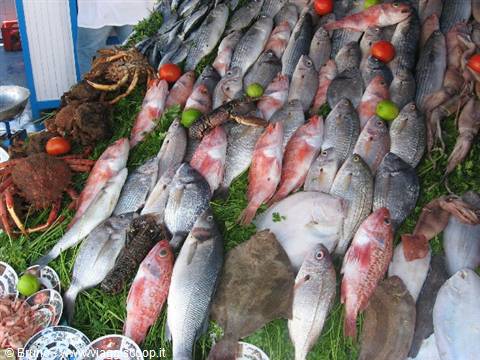 Fish market in Essaouira