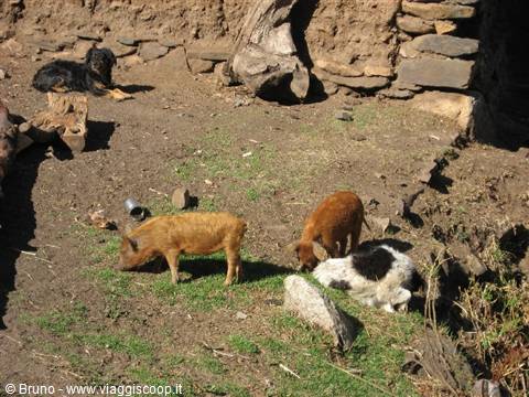 Trekking in the Cordillera Blanca - Meeting in the fourth stage 