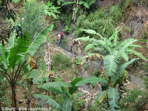 Trek in the amazon jungle - First stage