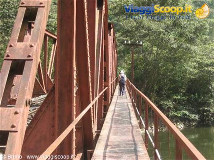Trek in the amazon jungle - On the march in the second stage