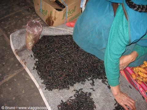 Market of Cuzco - Butterfly cocoons