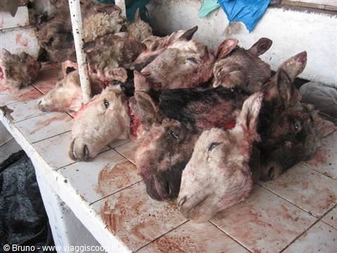 Market of Cuzco - Goat heads