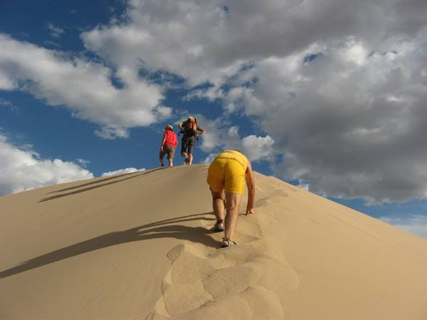 Gobi Desert-Climb to the Khongoryn Els dunes