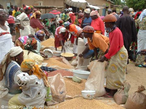 MARKET OF TOUROU