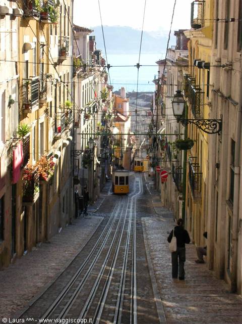 ELEVADOR DA BICA
