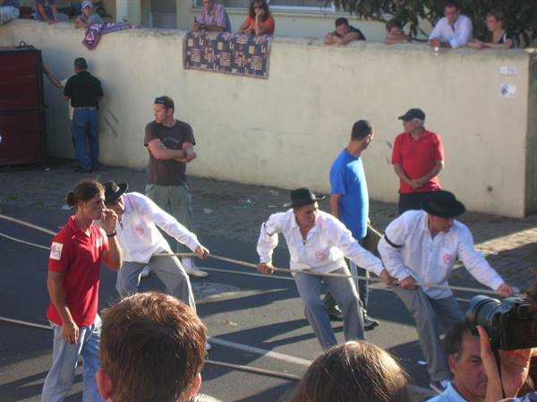 The tourada da corda
