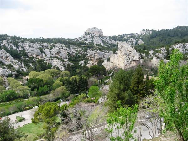 the landscape