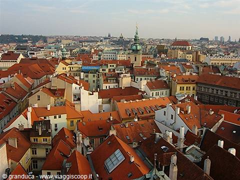 Red rooftops of Prague under golden light, with the green New Town Hall tower