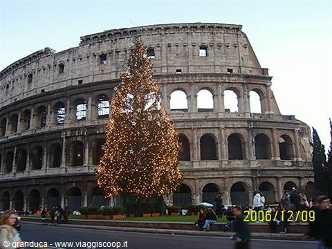 Illuminated Christmas tree in front of the Colosseum in Rome, tourists strolling