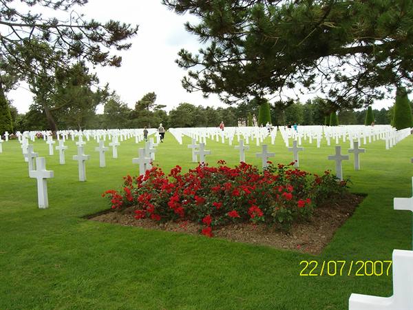 never again war